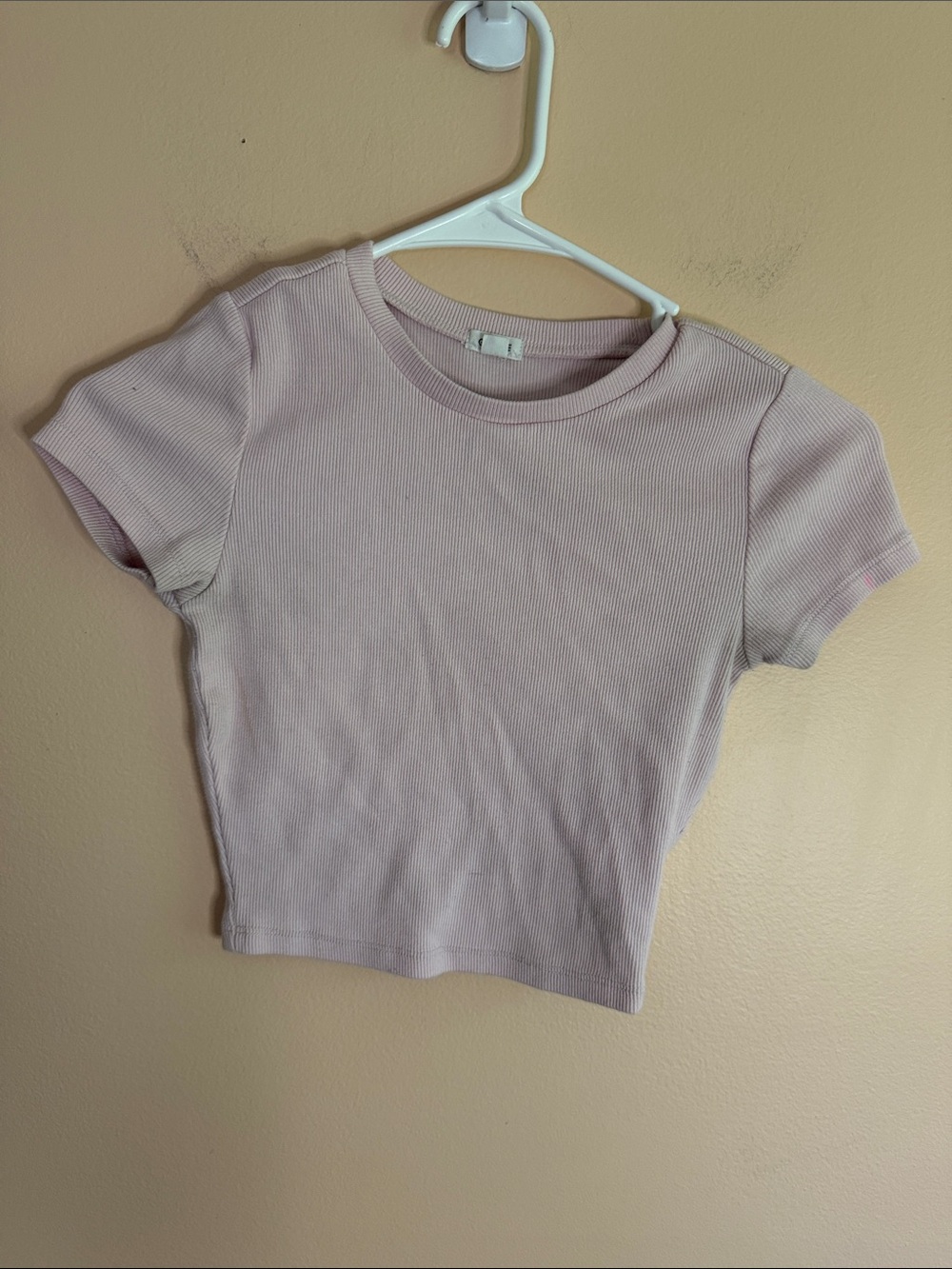Garage Pink Ribbed Crewneck Crop Top